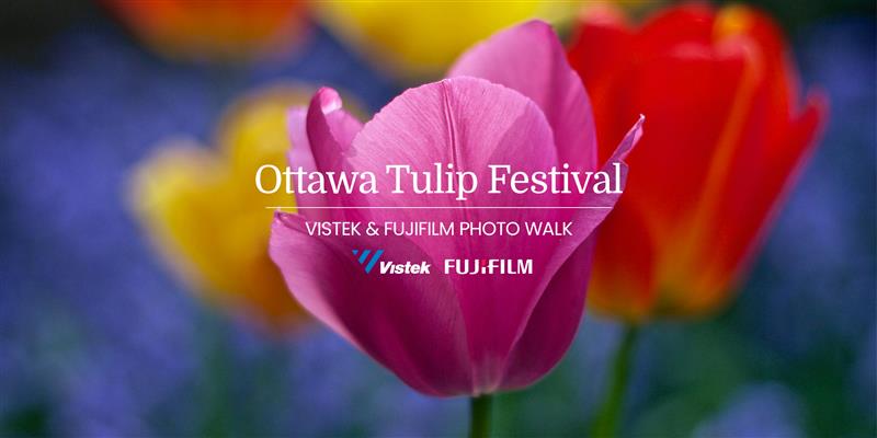 Vistek Ottawa & FUJIFILM Photo Walk at the Ottawa Tulip Festival