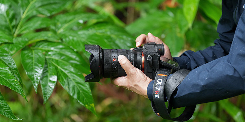 Sony a7R V camera in persons hands with forest background