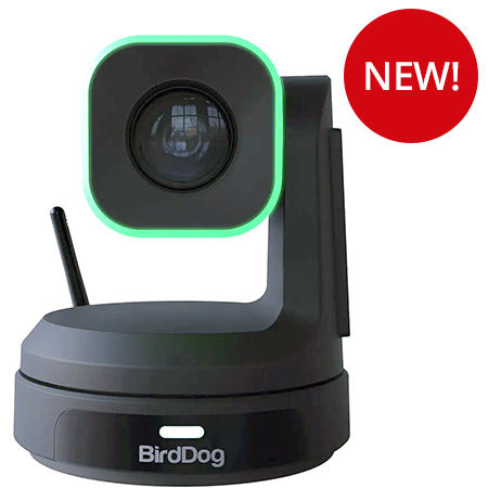 BirdDog BDX1B 20X HD PTZ Camera (Black)

