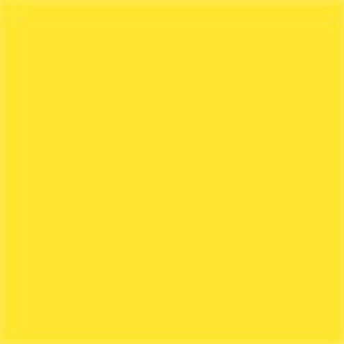 Lee Filters 100x100mm Yellow 8 Resin Drop In Filter for Black and White Film
