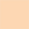 Lee Filters 20"x24" Pale Amber Gold Lighting Filter