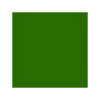 Lee Filters 100x100mm Tricolour Green 58 Polyester Drop In Filter