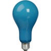 Ushio 500W EBW, PS-25 No. B2/Blue photoflood lamp