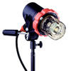 Speedotron 206VF/CC Light 11" Ref
