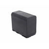Lenmar LIC-941 Battery w/o Camera