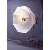 Plume 2 Meter Jumbrella Translucent