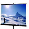 Draper Dipomat 70""x70"" screen