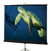 Draper Diplomat 60"x60 M8atte screen