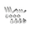 Pina Zangaro Screwpost Pack Zinc - Screws 1/4, 3/8" Posts 12"