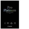 13"x19" Pro Platinum Paper PT-101 - 10 Sheets