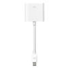 Apple mini displayport - DVI adapter