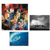 Premier Imaging Products 50" x 100' Universal PolyMatte Film 9mil Roll Water Resistant