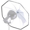 Lastolite Removable Diffuser for RayD8 Light