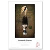 Hahnemuhle 44"x39' Leonardo Gloss Canvas 390 gsm 2" core Roll