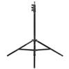 Westcott Light Stand (8')