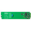 Black Magic Design CONVOPENGASA OpenGear Converter - SDI to Analog