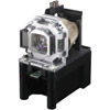 Panasonic ETLAF100A Replace Lamp OECM