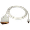 TechCraft 10' MiniDisplayPort to DVI M/M