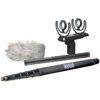 Rode Microphones Boom Pole w/ SM4 Boom Pole, Shock Mount and Dead Cat & NTG-2 Microphone