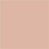 Superior Backgrounds 107"x36' Beige Seamless Paper