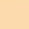 Superior Backgrounds 107"x36' Wheat Seamless Paper