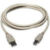 TechCraft 6' USB 2.0 Cable - A to B