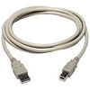 10' USB 2.0 Cable - A to B