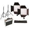 Ledgo 2x LG-600CS LED Lights Bi-Colour with Mantis 2x Light Stands, Stand Bag and Hard Case
