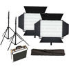 Ledgo 2 X LG-1200S LED Lights 5600K with 2x Mantis Light Stands, Stand Bag and Hard Case