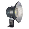 Elinchrom Quadra Pro Head with 2.5 m Flash Cable, 13.5 cm Reflector and Multifunction Cap