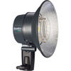 Elinchrom Reflector-LED Quadra Pro Head (Tested)