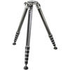 Series 5 eXact Systematic Tripod 6-Section Giant Replaces GT5562GTS