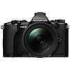 Olympus OM-D E-M5 Mark II Mirrorless Black Body w/ M.Zuiko ED 14-150mm f/4-5.6 II Lens