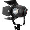 Fiilex P360 Pro LED Light