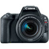 Canon EOS Rebel SL2 w/ 18-55mm Lens