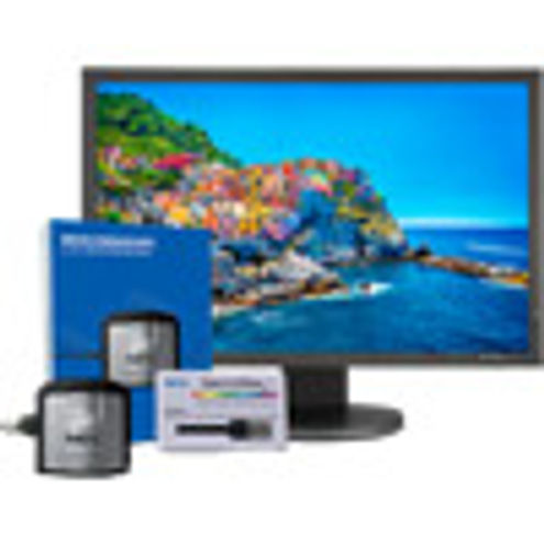 NEC PA243W-BK-SV - 24.1" 16:10 IPS, 99.8% Adobe RBG, 95.5% DCI-P3, LCD Monitor with SpectraView II)