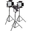 Ledgo LG-600MSII & LG-D600 Daylight LED Panels and Fresnel 3 light Kit with Stands