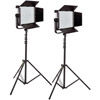 Ledgo LG-1200MSII Daylight LED Panels 2 Light Kit with Stands