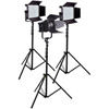 Ledgo LG-1200MSII & LG-D1200M Daylight LED Panels and Fresnel 3 Light Kit with Stands