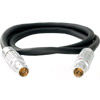 Tilta Nucleus-M 7-Pin to 7-Pin Motor to Motor Connection Cable 18cm (Straight)