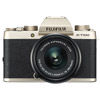 Fujifilm X-T100 Mirrorless Body Champagne Gold