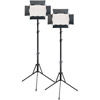 2 x LG-B560II LED Light 5600K with2 x Stands, 2 x AC Power Supply, 2 x Battery/Charger ,Case