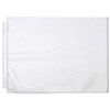 Pina Zangaro 11x17 Landscape Pro-Archive Sheet Protectors 50 pks of 10 (Without Retail Packaging)