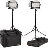 Ikan Mylo Bi-Color Half x 1 Portable Field LED 2-Light Kit