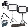 Ledgo 2xLG-1200SC Daylight with D1200M Fresnel 3 x Stands, Stand Bag and Hard Case