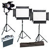 Ledgo 2xLG-1200CSCII Bi-Color with D1200MC Fresnel 3 x Stands, Stand Bag and Hard Case