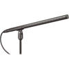 Audio Technica BP4071 Line and Gradient Condenser Microphone