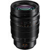 Panasonic Leica DG Vario-Summilux 10-25mm f/1.7 ASPH Lens