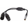 LEDGO 1/2 DMX Cable for AltaTube