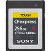 256GB CFexpress Type B Card, 1700MB/s read & 1480MB/s write speeds